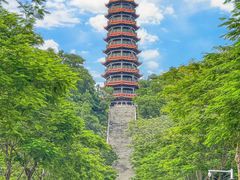 -红花山公园