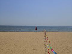 -晓伟海鲜家常菜