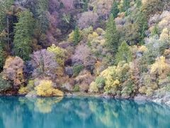 -叠溪松坪沟景区