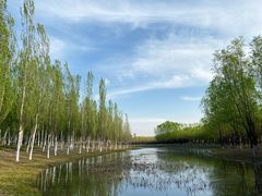 -东郊湿地公园