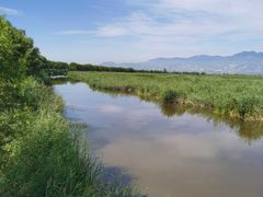 -野鸭湖国家湿地公园