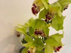-花二家·生活馆(六运小区店)