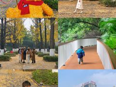 -百林公园-两江幸福广场