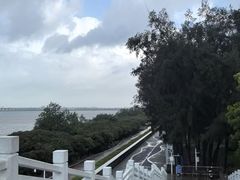 -宝安西湾红树林湿地公园