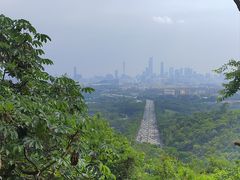 -火炉山森林公园
