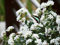 -昆山城市生态森林公园