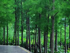 -云龙湖旅游景区