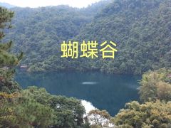 -鼎湖山风景区