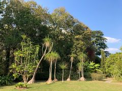 -中国科学院西双版纳热带植物园