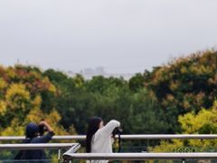 -武汉荟聚