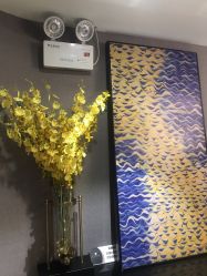 -永琪护肤造型