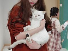 -飞行喵MR PILOT|猫舍·猫咖(静安大融城店)