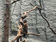 -武汉动物园