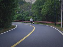 -宝界山林公园