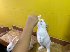 -嘉兴海底世界