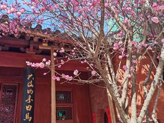 -洛阳白马寺