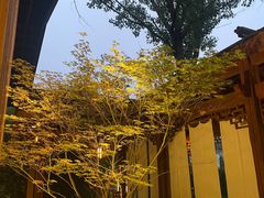 -思念果岭悦温泉