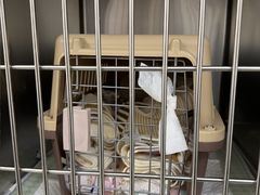-美联众合动物医院·24h京西诊疗中心