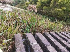 -张坝桂圆林公园