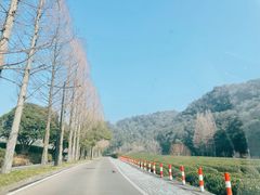-春娟茶楼·地道农家菜(梅家坞店)