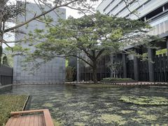 -三亚太阳湾柏悦酒店