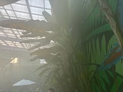 -观唐（国际）度假村温泉