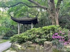 -虎跑公园