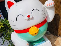 -猫咪博物馆(顶澳仔猫街店)