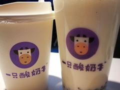 -一只酸奶牛(八一路店)