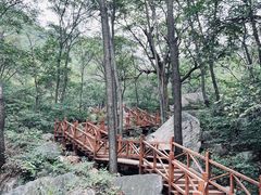 -大岭沟猕猴桃谷风景区