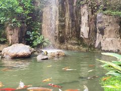 -广州花园酒店荔湾亭·地道点心·粤式饮茶