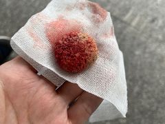 -御宝贝24h宠物医院·转诊中心·CT核磁血透中心(厦门总院)