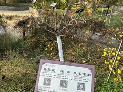 -马王堆汉墓遗址