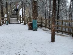 -西岭雪山大飞水景区