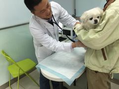 -纳吉亚猫专科动物医院博雅分院