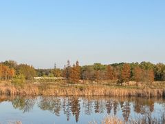 -贡湖湾湿地公园