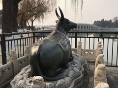 -颐和园