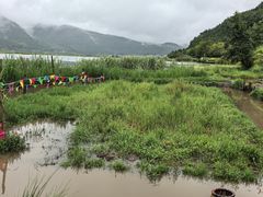 -腾冲北海湿地