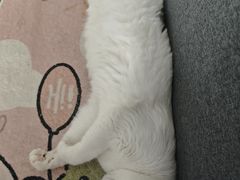 -联合动物医院(光谷诊疗中心)