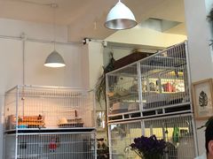 -小时光咖啡馆(北锣鼓巷店)