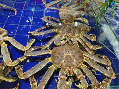 -79号渔船海鲜饭店(华强北店)