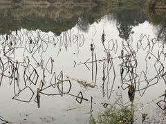 -白鹭湾湿地公园