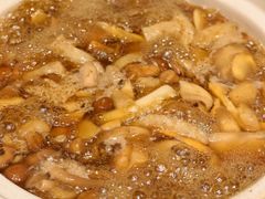 -天宜隆蘑菇宴火锅(石景山旗舰店)