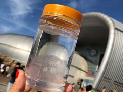 -烟台海昌鲸鲨海洋公园