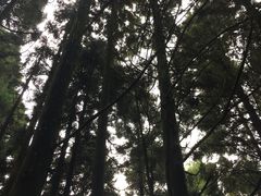 -井冈山风景名胜区
