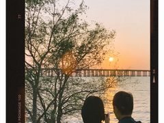 -宝安西湾红树林湿地公园