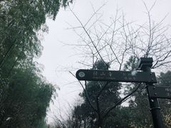 -径山寺
