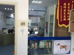 -康成宠物医院24H·CT·核磁共振