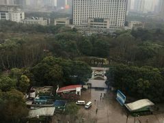 -人民公园-相亲角