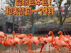 -武汉动物园
